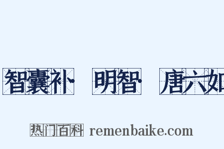 智囊补·明智·唐六如是什么意思的图片